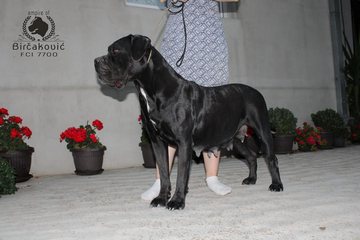 Fanta Del Nostro Destino