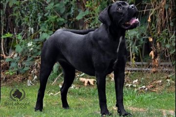 Fanta Del Nostro Destino